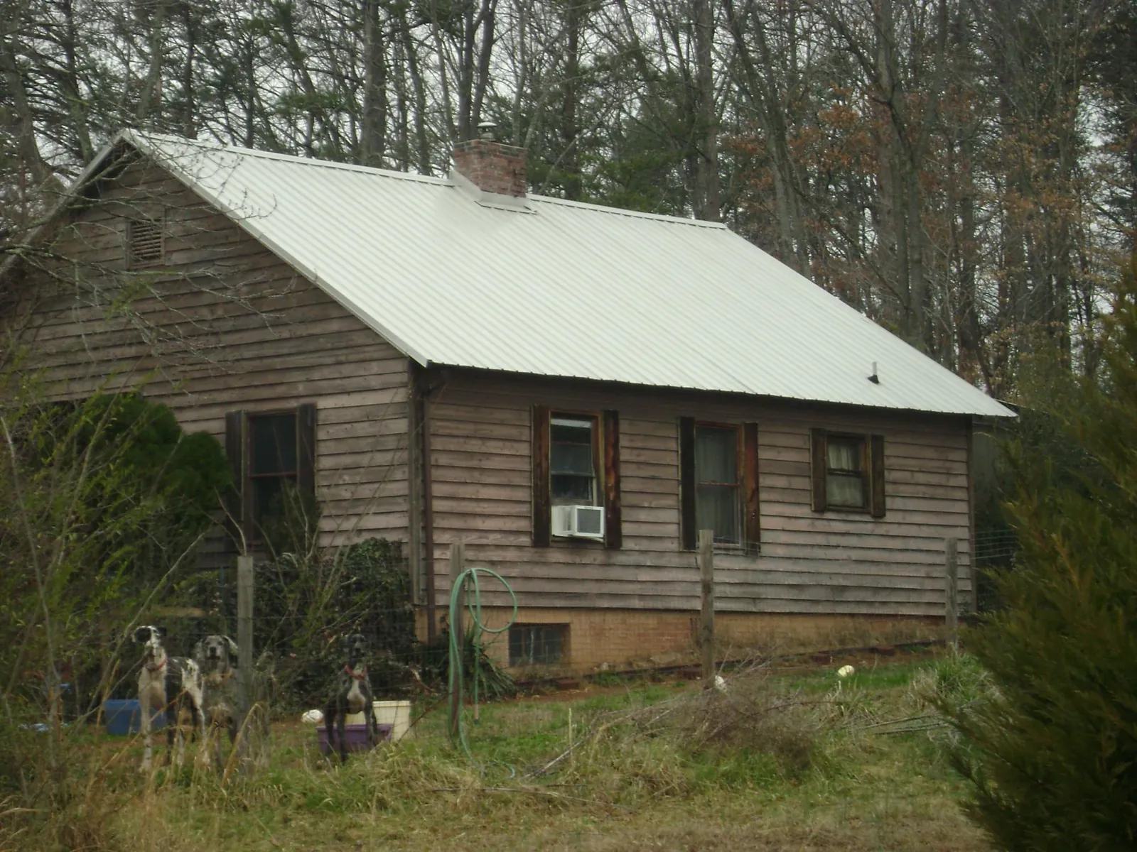 White metal roof on an old wood sided farmhouse, from a Asphalt Shingle Roof Repair job in Lava Hot Springs